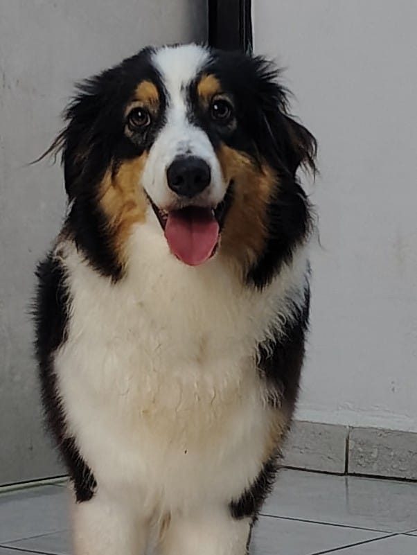 Foto